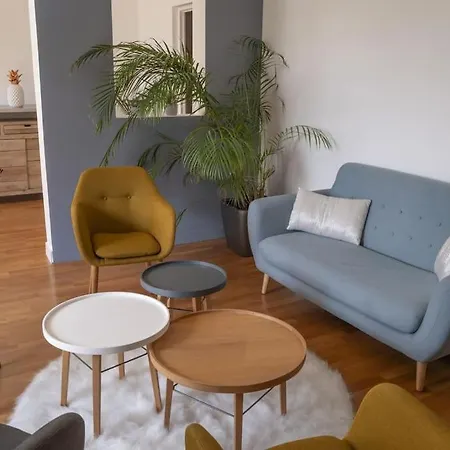 Cholet, En Centre-ville Et Spacieux, Proche Du Parc Du Puy Dufou Apartment Cholet