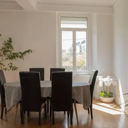 Apartment Cholet, En Centre-ville Et Spacieux, Proche Du Parc Du Puy Dufou *