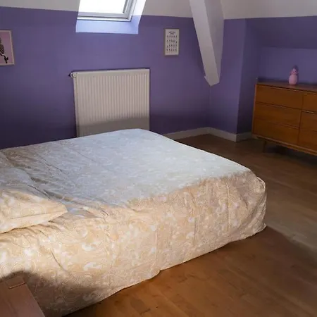 Cholet, En Centre-ville Et Spacieux, Proche Du Parc Du Puy Dufou * Cholet