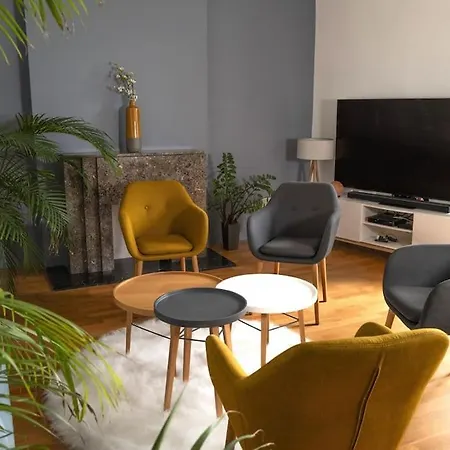 Apartment Cholet, En Centre-ville Et Spacieux, Proche Du Parc Du Puy Dufou