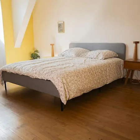 Cholet, En Centre-ville Et Spacieux, Proche Du Parc Du Puy Dufou Apartment Cholet