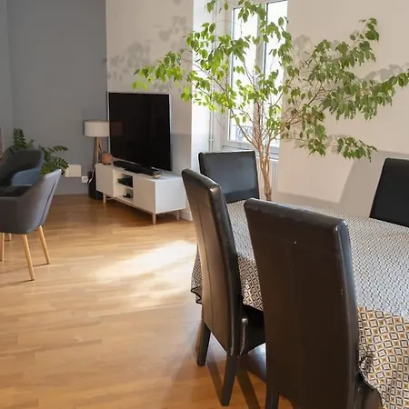 Cholet, En Centre-ville Et Spacieux, Proche Du Parc Du Puy Dufou