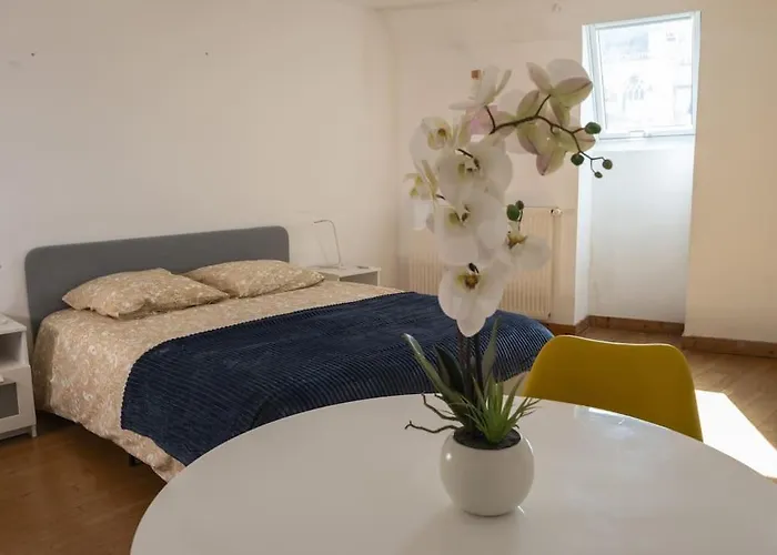 Cholet, En Centre-ville Et Spacieux, Proche Du Parc Du Puy Dufou 绍莱