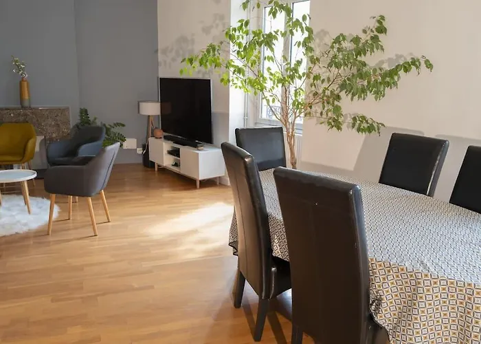 Cholet, En Centre-ville Et Spacieux, Proche Du Parc Du Puy Dufou